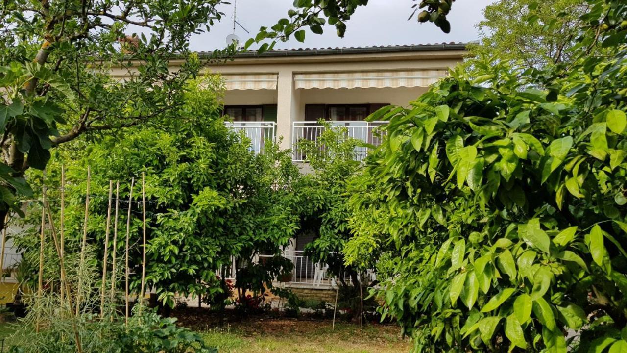 Apartments Ana 메덜린 외부 사진